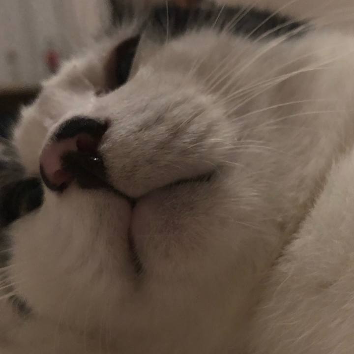 5fdf4ebf cf54 495b ae12 40677d3d166d 1565028103314