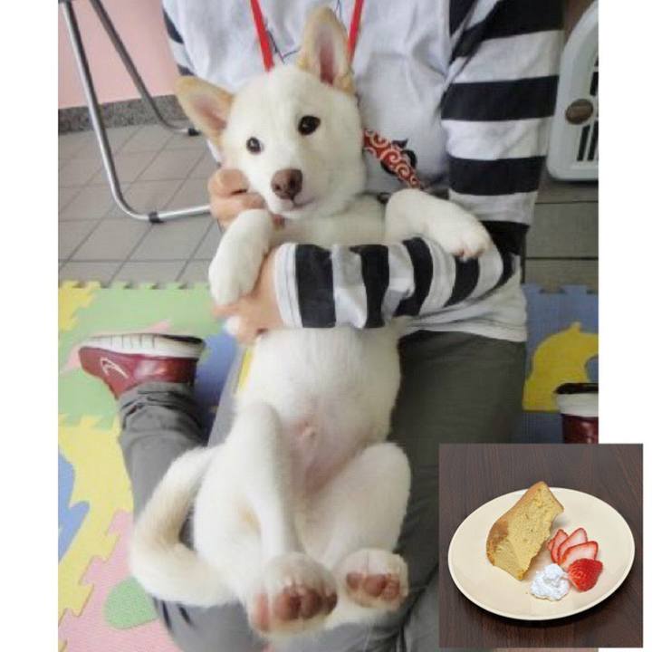 5fdfde6b 79be 452b 888f 34b24256180e 1675861920017