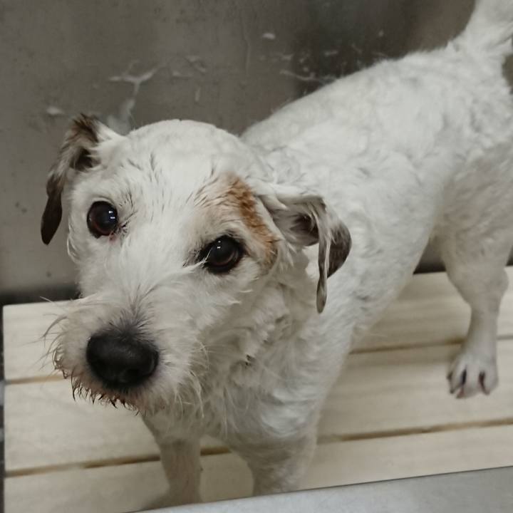 5fdfe89d 812d 4033 bb7e ef70c32af84d 1583189902866