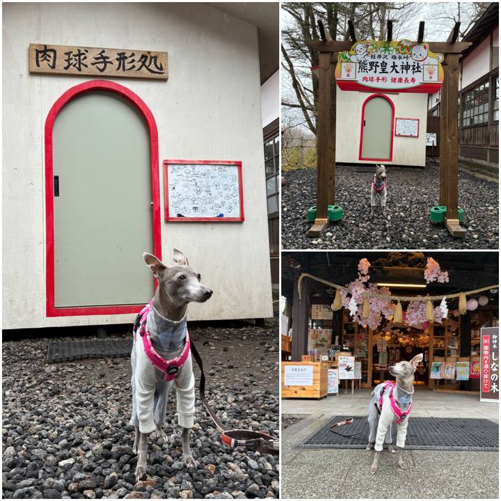 5fe02ffc 5f2c 4288 b2f2 86578b0be6b5 1776675855365