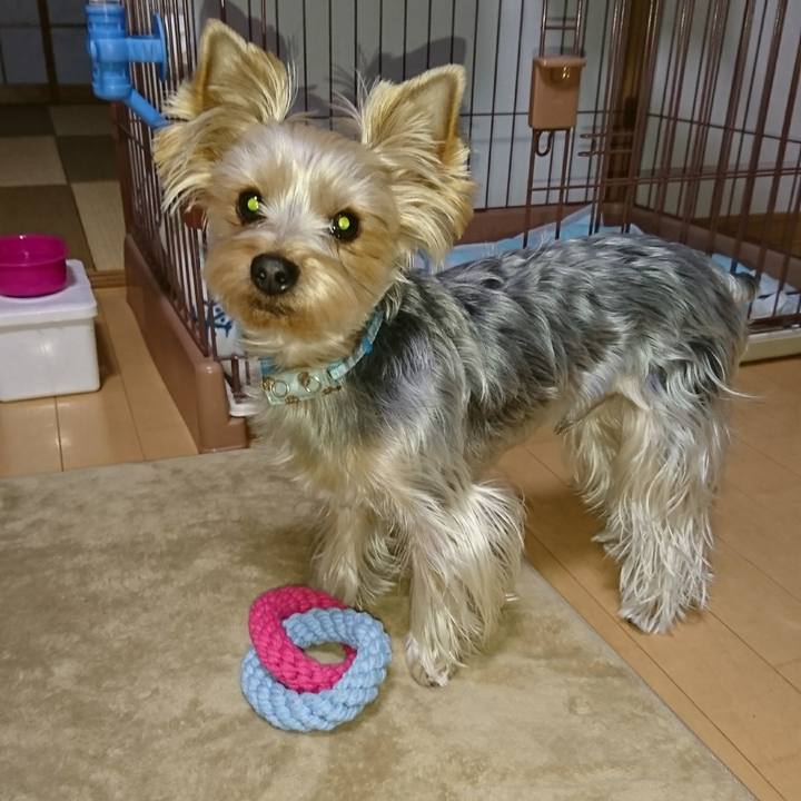 5fe07bae 48ae 43a2 8bda 99fab3bf660c 1514159644624