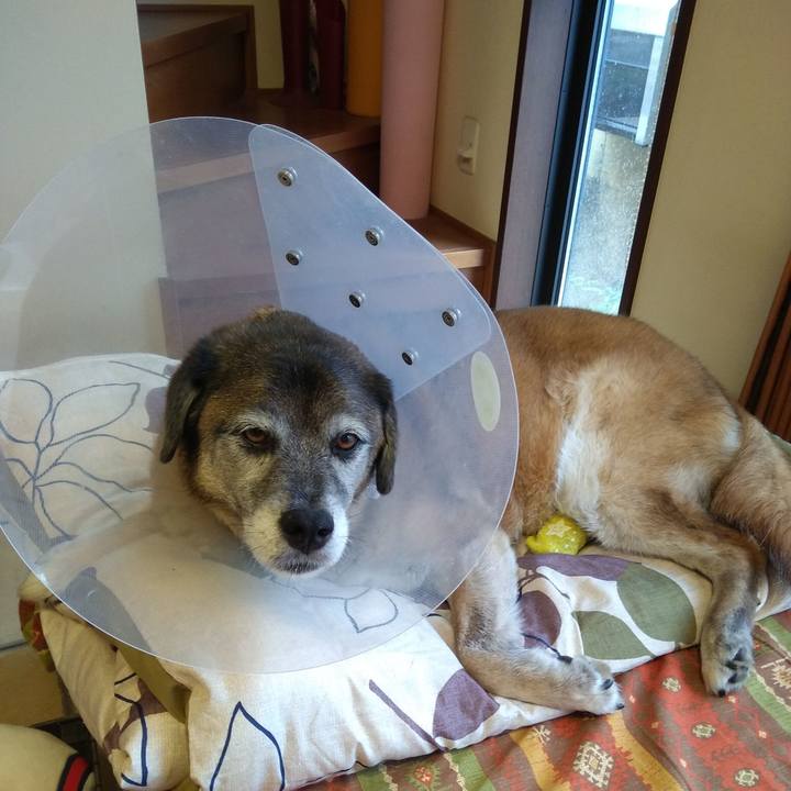 5fe08973 8b76 4215 a2c2 fae3c84d7fb0 1562492370794