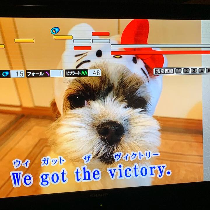 5fe08c7e dc1e 4202 8c27 844dc2f06074 1561217646151