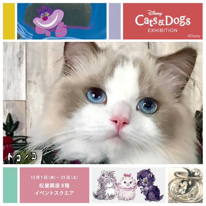 5fe09986 2680 4a21 a9fa 7bba4eca9299 1638350610755