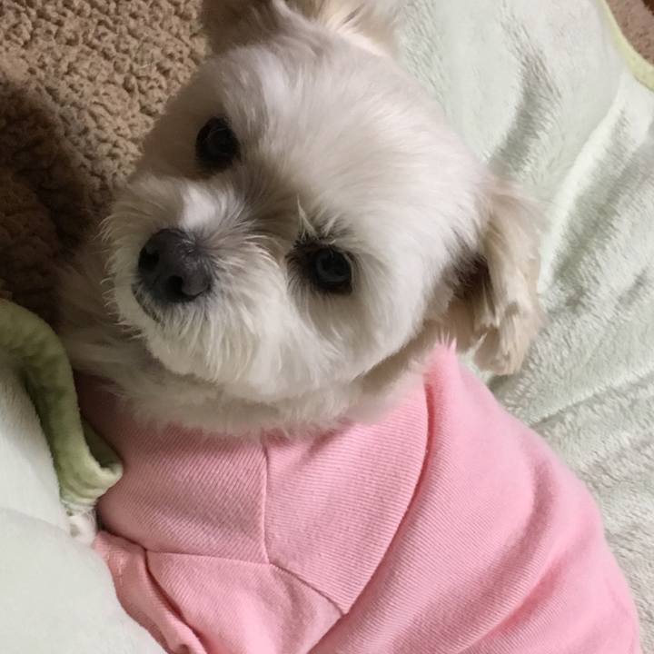 5fe0a16e 6cbe 4edb 92e1 e108e6aa80d1 1544955219995