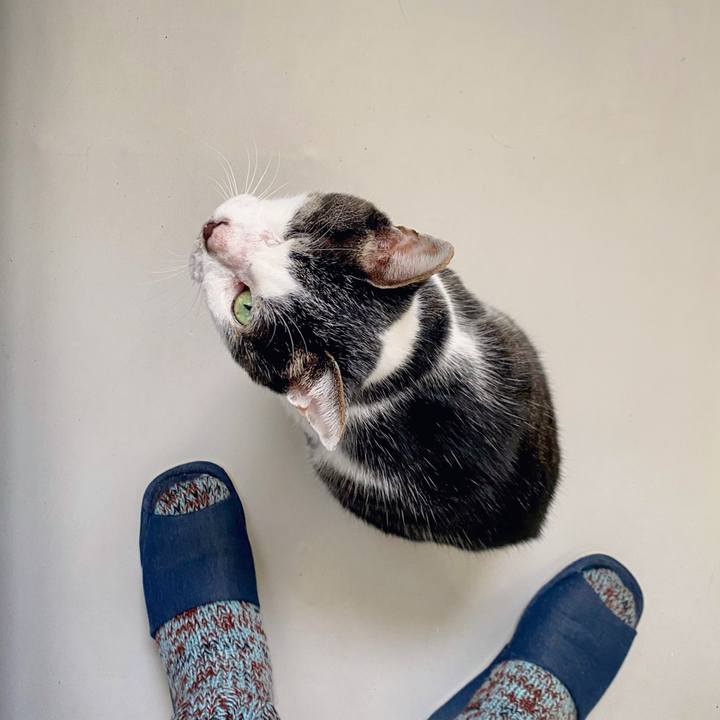 5fe0b9e9 57c7 4742 92ef ce6607da17df 1607232914722