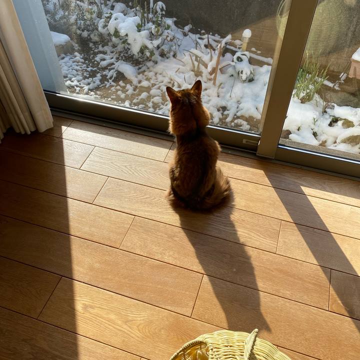 5fe0c412 b322 4c19 8227 ac17bcfbaecf 1674611082490