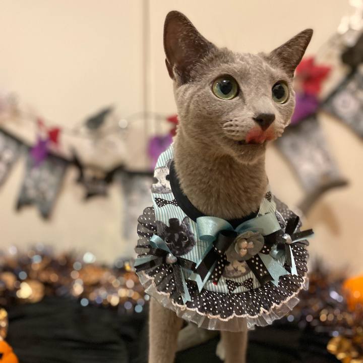 5fe0c8f3 297d 4e4f 8fd1 eb6e796e075b 1667223571426