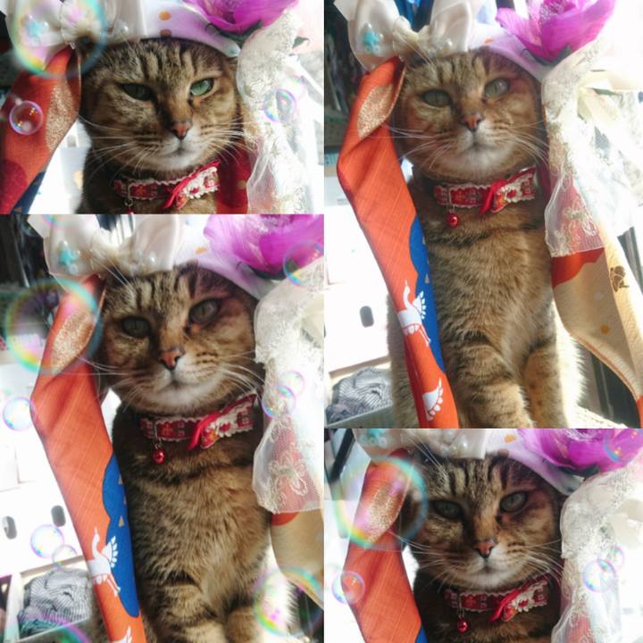 5fe0caf0 4275 4969 877a d36c873281bd 1765236242824