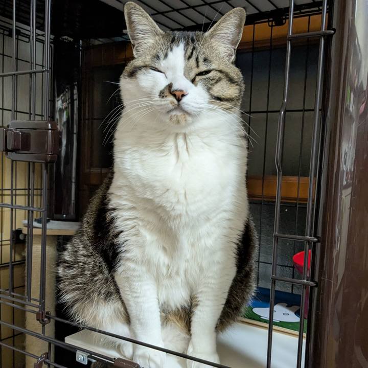 5fe0d44e fc13 4212 bed2 e8b98aad93f8 1738531339524