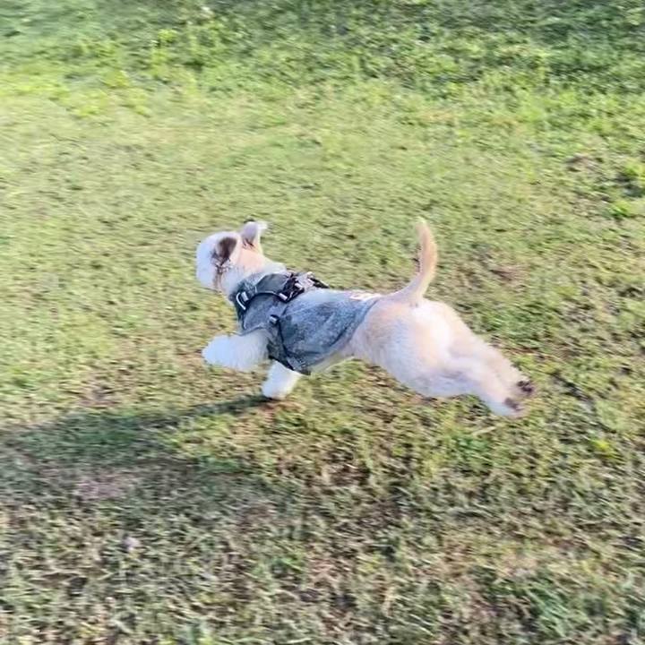 5fe0d8c1 dbd4 4439 9282 b4bfb6ebb057 1622718620407