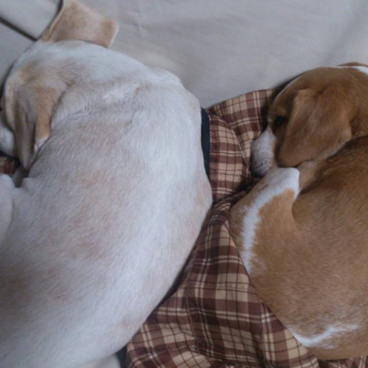 5fe12b7a 577a 4476 9420 d2063e7b3963 1603497806571