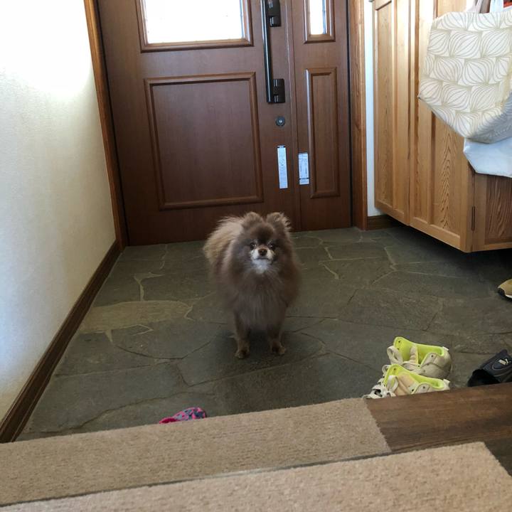 5fe184c8 dc58 4edb a201 247c76bef22a 1586908704733