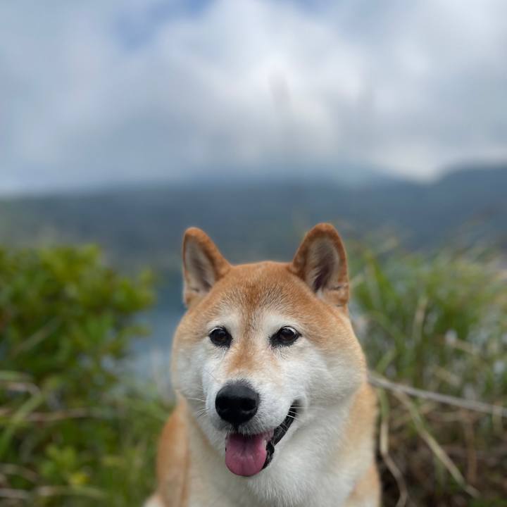 5fe1beac 25b3 4ce0 92b4 12551ad8fd1e 1698984466266