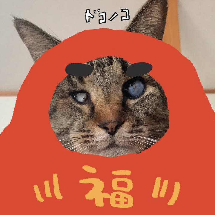 5fe24862 af20 47f2 a7e3 8ba805cbe3c2 1771914872334