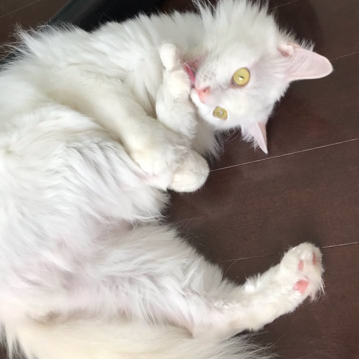 5fe25486 c5e5 4737 9012 f2bf40a347c4 1558912408574