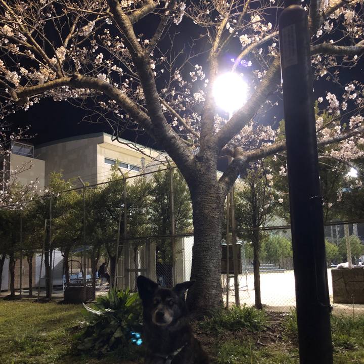 5fe2cfb3 45af 4357 bc6d 3287998155de 1712104380148