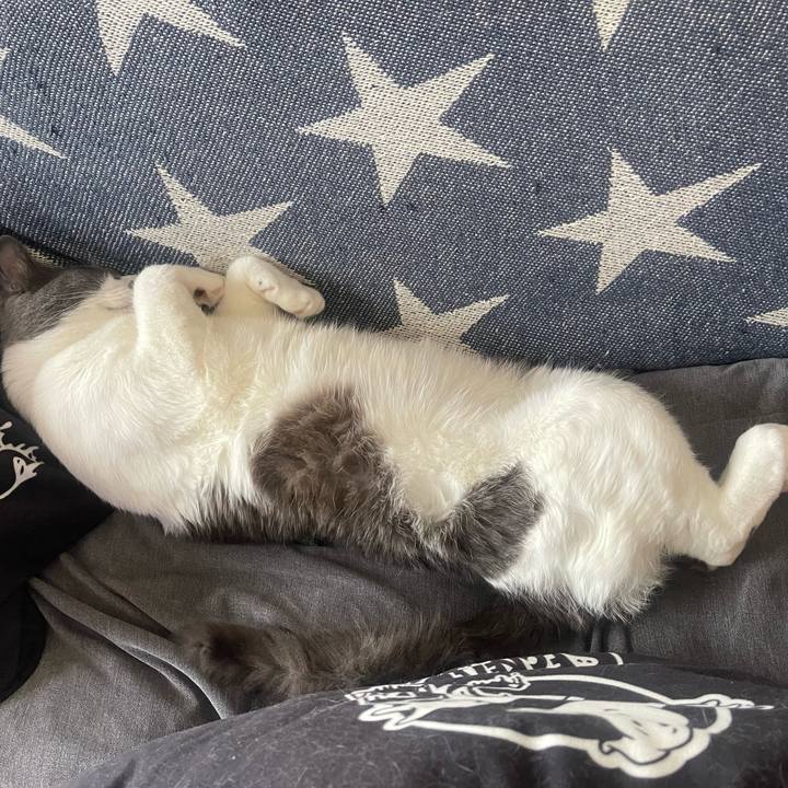 5fe2da1e bec2 4710 b662 2937ab389916 1651318905502