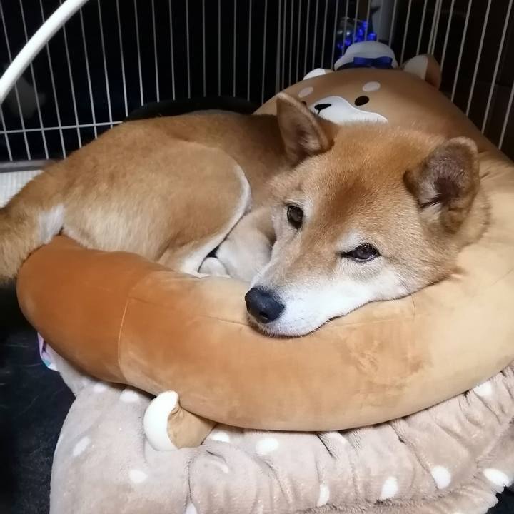 5fe32692 24df 4612 bafb 77f9aa5ee778 1607783950669