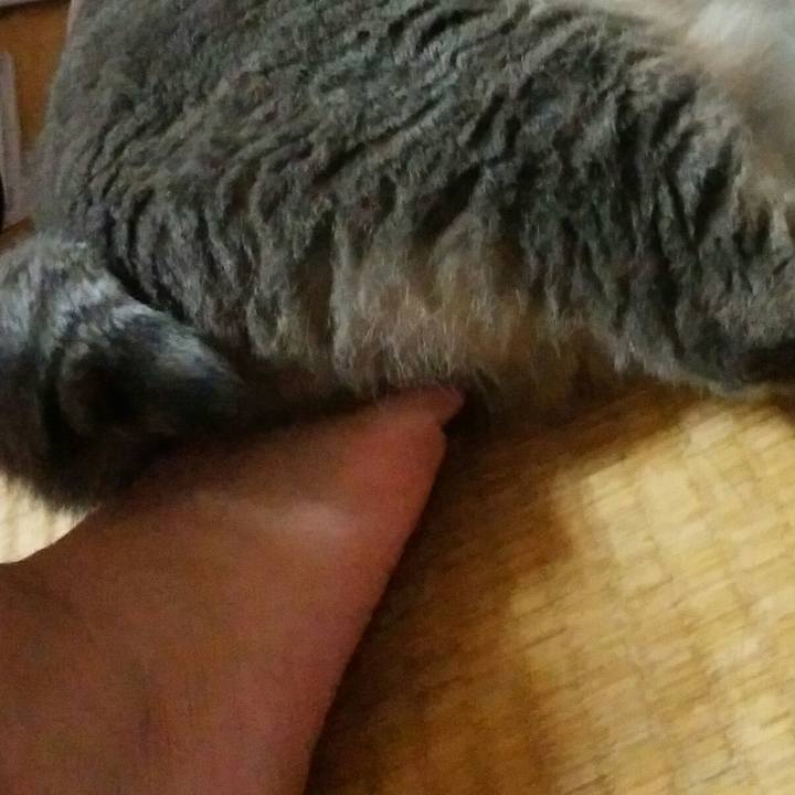 5fe32741 1eef 466a 92f0 9440af3c1f0d 1568987975008