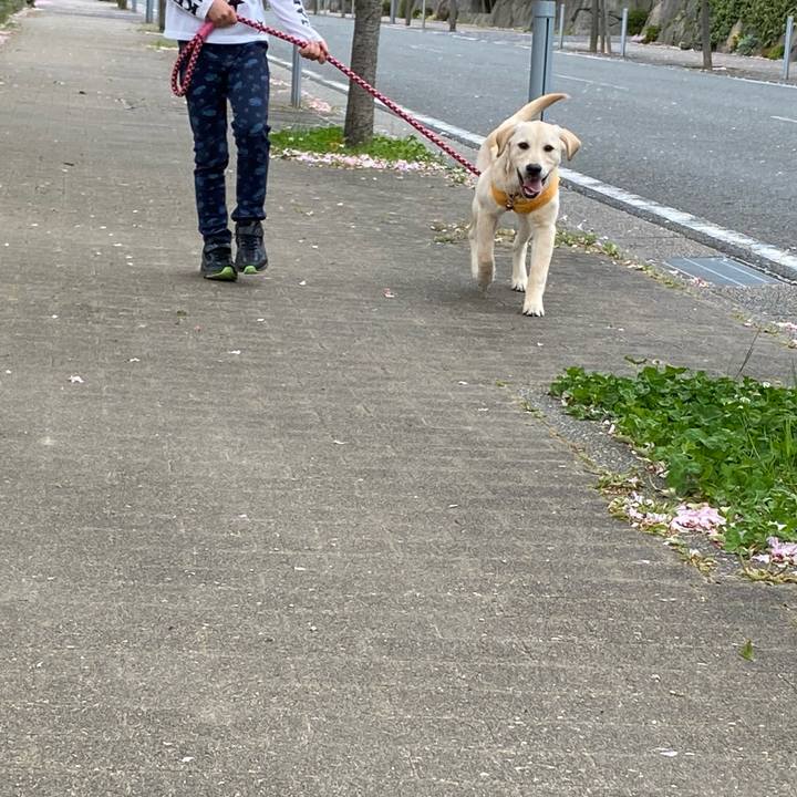 5fe35c24 7f5a 4b38 a458 3aedd5100917 1618242399747