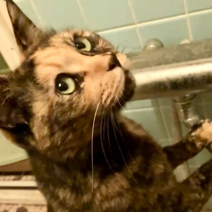 5fe38dca f31d 4899 9bd0 f01cc0dabd3b 1731609067373