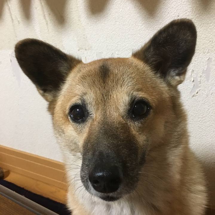 5fe397e8 cd58 409a a826 b8ab38f2f1ab 1509703312687