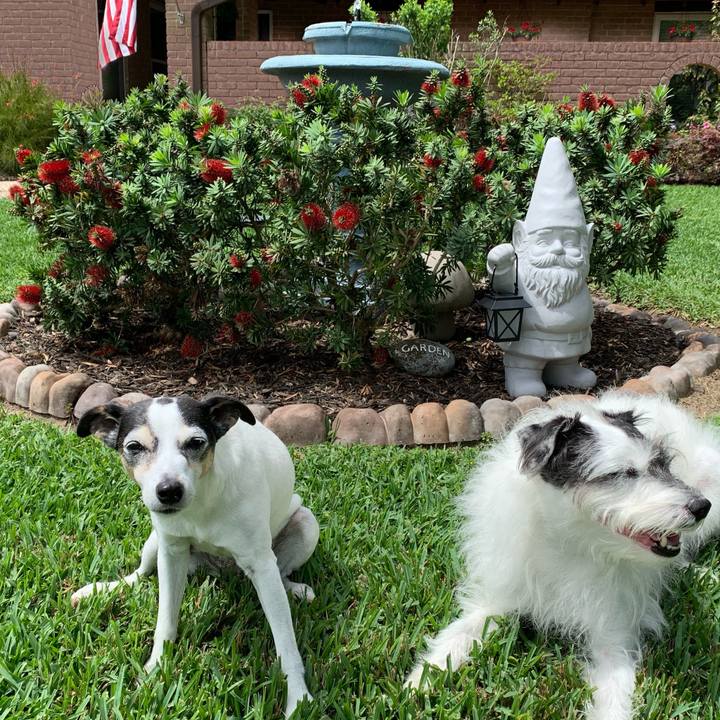 5fe3d642 d7de 483a a11a bd85335c2638 1586648351170