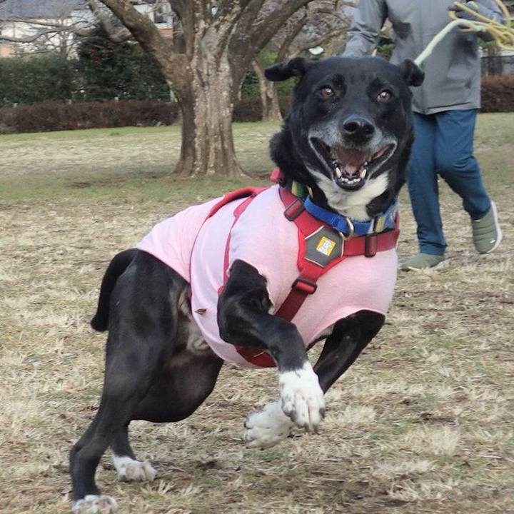 5fe3fb96 16ce 4794 8d0c edcc7693ecfe 1676422777294