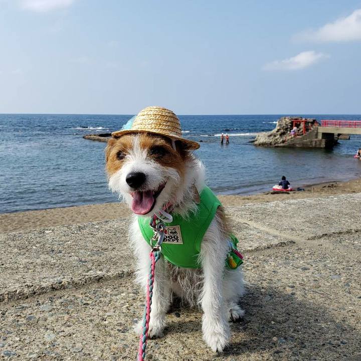 5fe40a01 873f 4cf3 97f4 162ad2333c2f 1598050881462