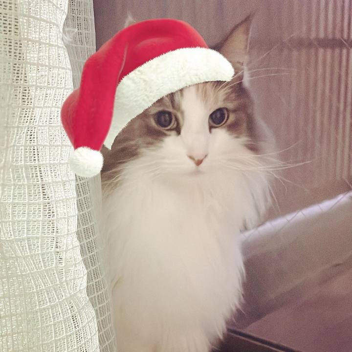 5fe43601 9b3a 4adb abef 1f560c72fd66 1671955185377