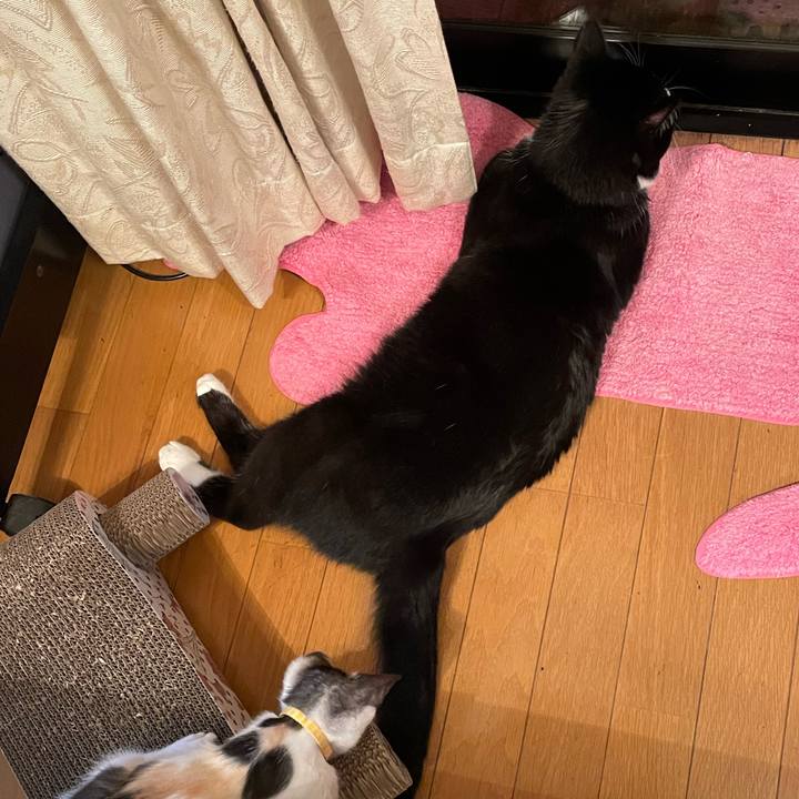 5fe44138 79d4 43a6 9824 3c5fe4b4103a 1658839080054