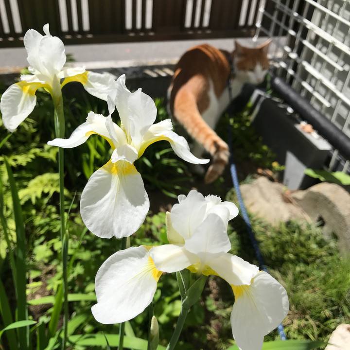 5fe471c7 a60f 47cc b5fd 696bc3b9459e 1527148928775