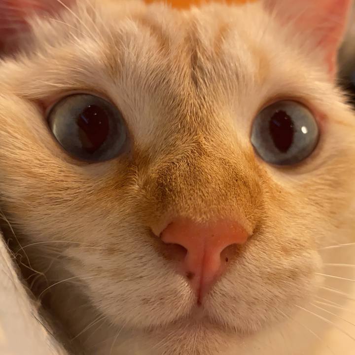 5fe4820e 93ef 40a7 8ce1 db4d6dcb4308 1661602966346