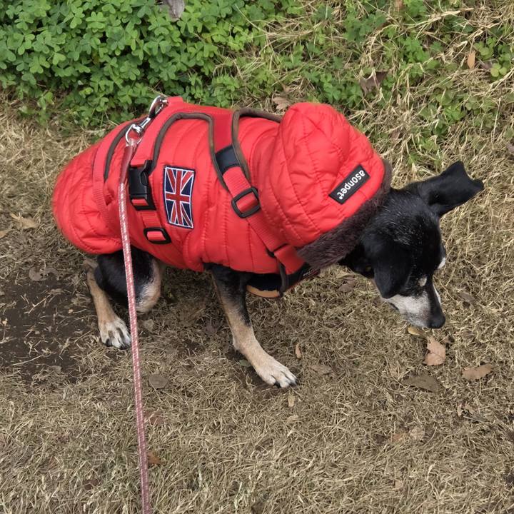 5fe48ade c836 4d2d b42f 36a93ebf8e15 1766284335041