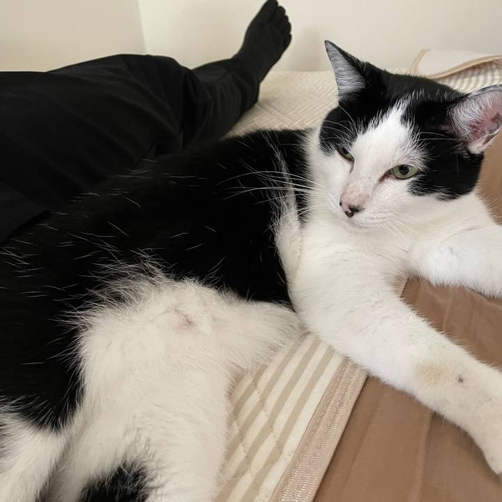 5fe4bbf0 5a8b 4e1c b8b1 6d21c7734b8a 1663909749968