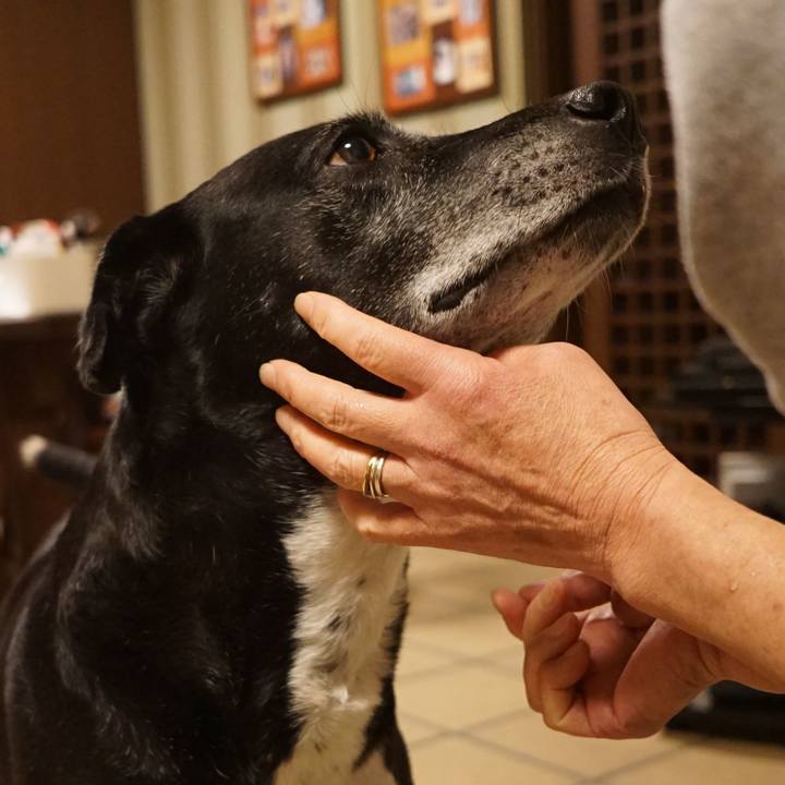 5fe4efce fa08 4f34 842b ef9d6d9b6fed 1764933520901