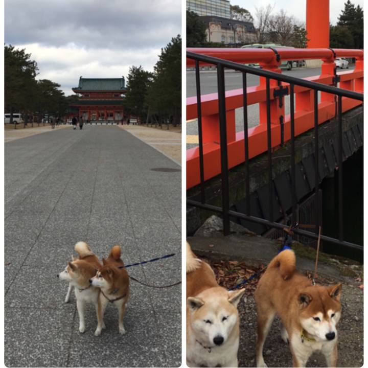 5fe55fa8 2131 4a8c 8803 3e78088057b6 1513495237685