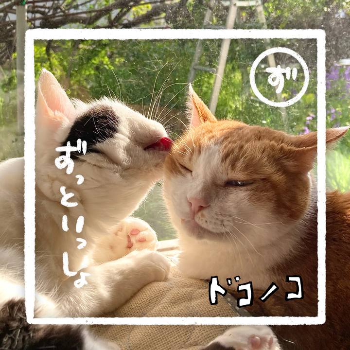 5fe56a0f 3f99 42c0 9c43 1bb2d2e1046a 1685975880646