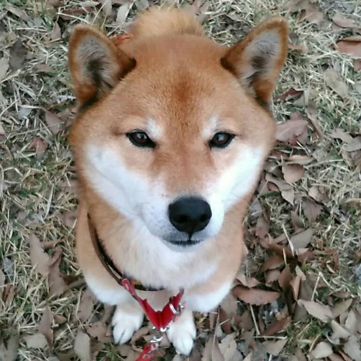 5fe57554 3714 42d9 a6ef c13eb0c02f71 1553915331290