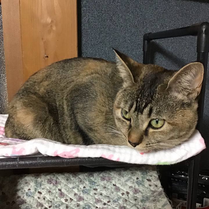 5fe57607 c9c6 458e a9b5 61c0a2793708 1580812641170