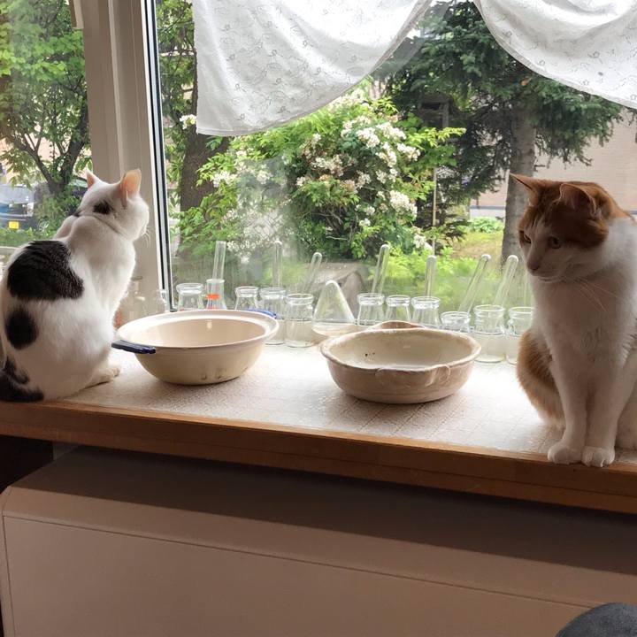 5fe5a729 c3ee 42bf b66b 4f49b88086bb 1562368065510