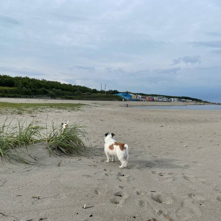 5fe5c427 04a5 4953 9925 6df538e24247 1631835926912