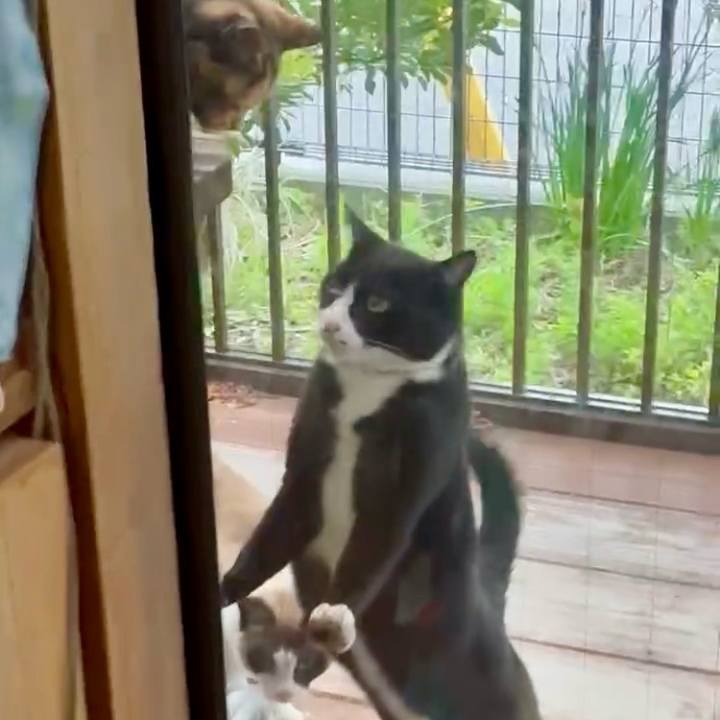 5fe5c63e 1e62 4809 8526 b0b84a7aa595 1744190916590