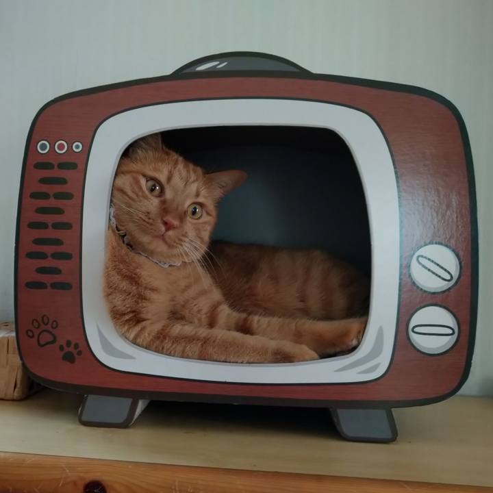 5fe5e486 cfbe 43d5 b010 a0744ed744b1 1627188422090