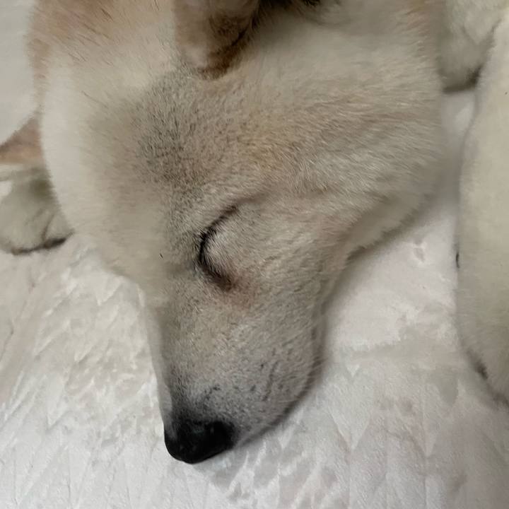 5fe60a5c 7873 41aa 90b2 e5d5834e0e6b 1719275281505