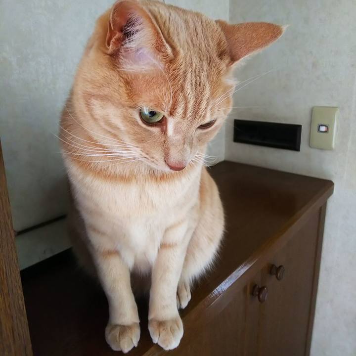 5fe62838 6850 4ce7 b679 bbe3e0fa7bc6 1622171412410