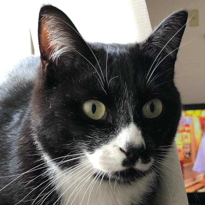 5fe628ca 057c 460e 9ddd 96df70118bf8 1578138036865