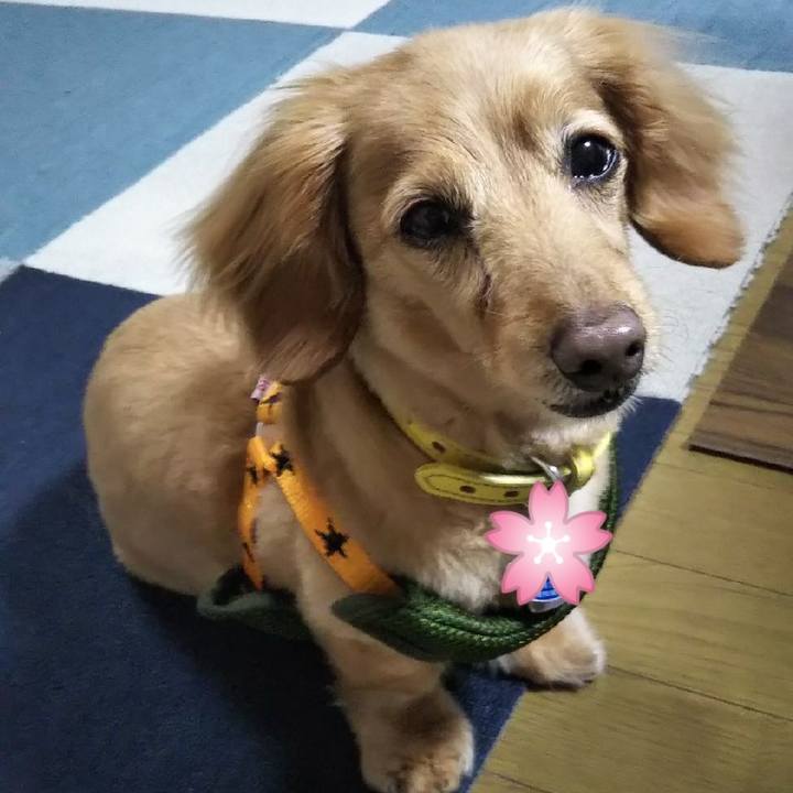 5fe66234 468a 42d5 b20a 51b8e18e7f18 1622370929788