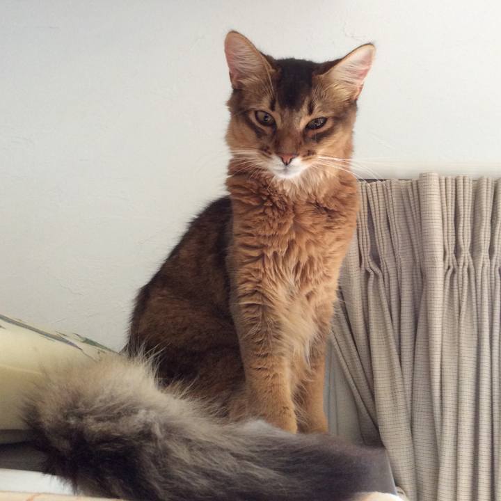 5fe6a51c 6be7 4377 9458 572e34227655 1567467967369